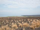 Big Island 018